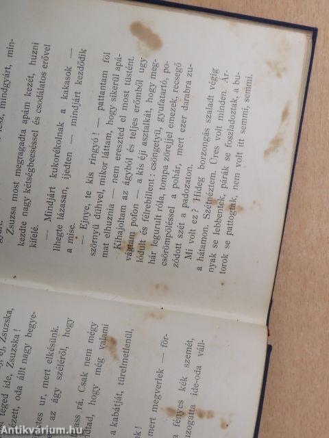 Öreg szekér fakó hám