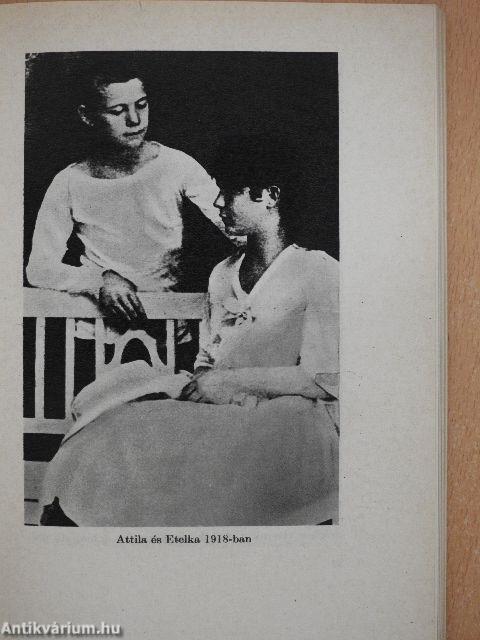 József Attila alkotásai és vallomásai tükrében