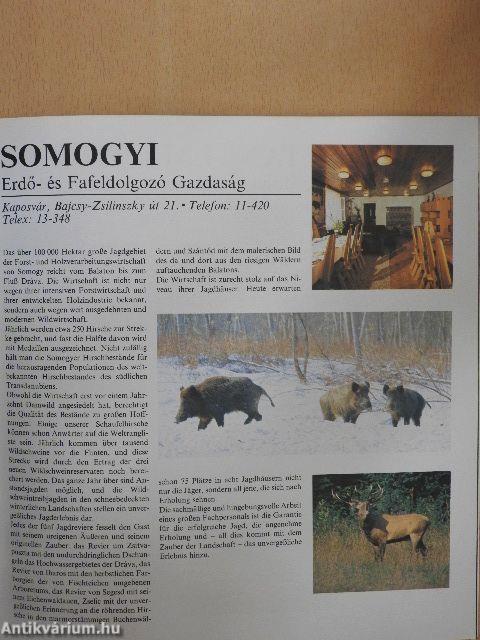 Jagdmöglichkeiten in den Ungarischen Forstverwaltungen