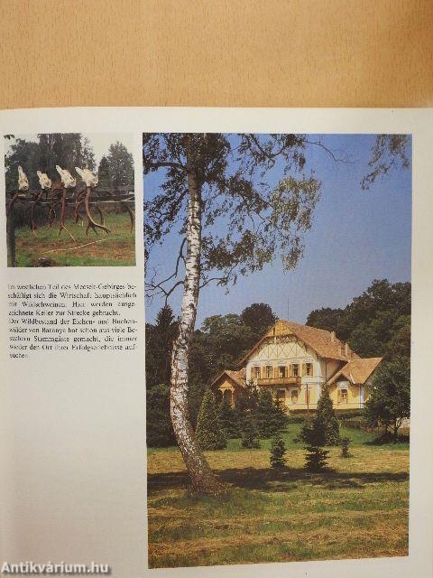 Jagdmöglichkeiten in den Ungarischen Forstverwaltungen