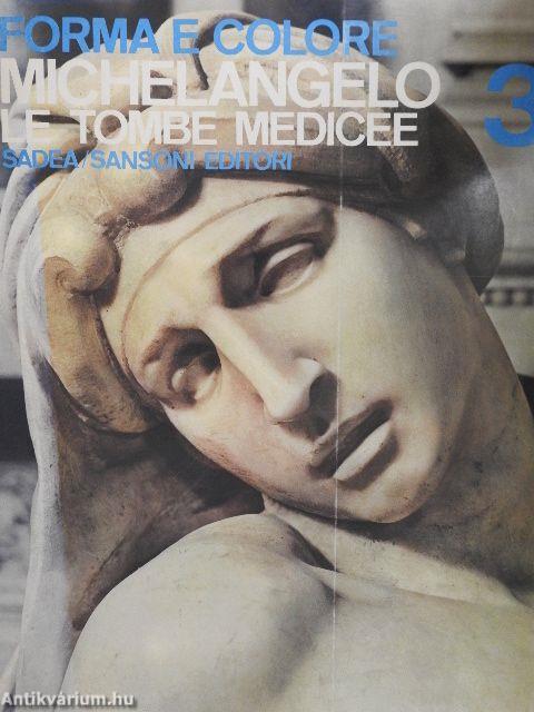 Michelangelo: le tombe Medicee