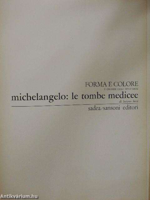 Michelangelo: le tombe Medicee