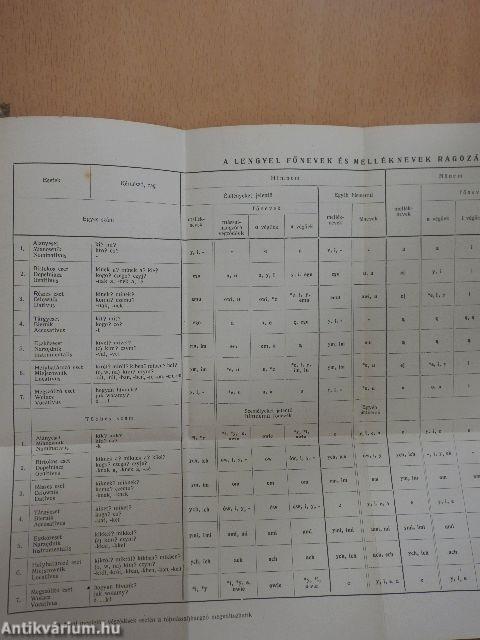 Magyar-lengyel szótár