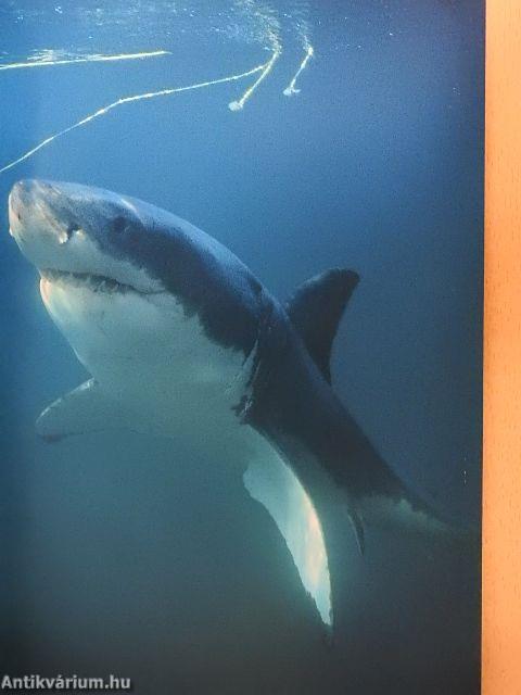 National Geographic April 2000