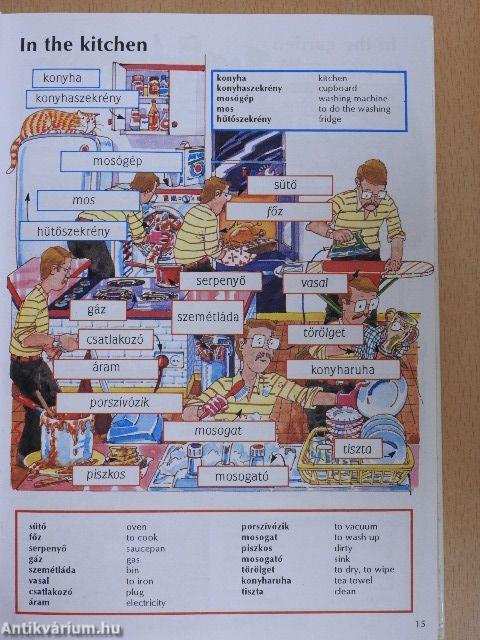 Beginner's hungarian dictionary