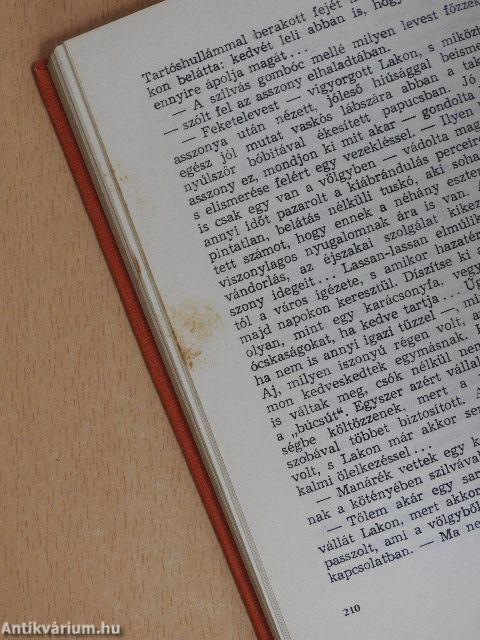 Pingált szívek Natasának