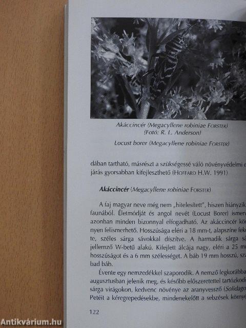 Az akác növényvédelme