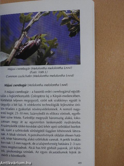 Az akác növényvédelme