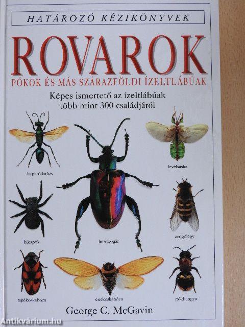 Rovarok, pókok és más szárazföldi ízeltlábúak