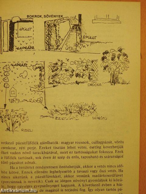 Mozgás - öröm a szabadban