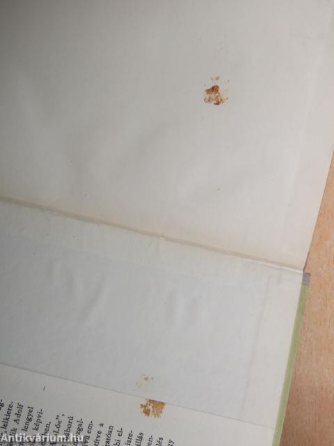 Az élő meg a holt tenger