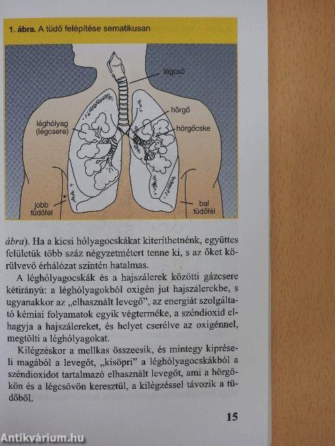 Asztmás vagyok - mit tegyek?