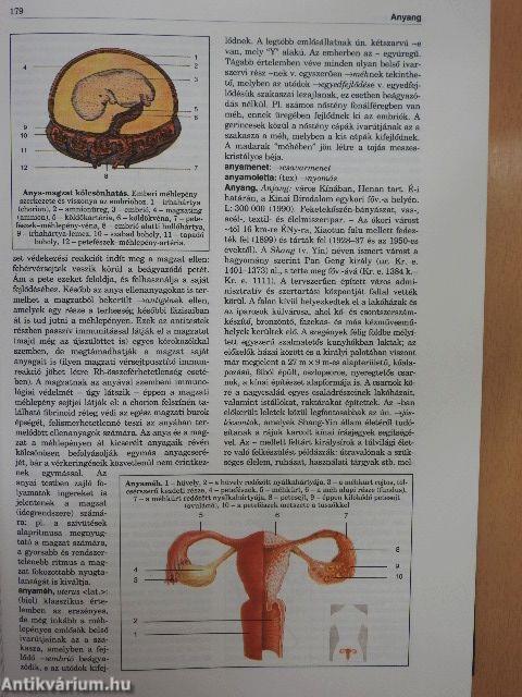 Magyar Nagylexikon 2. (töredék)