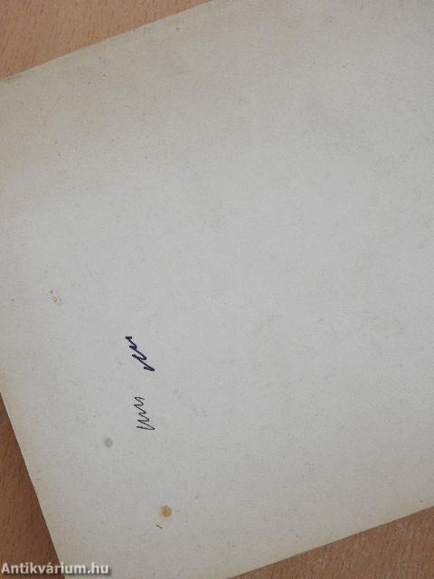 Irodalmi szöveggyűjtemény IV/II.