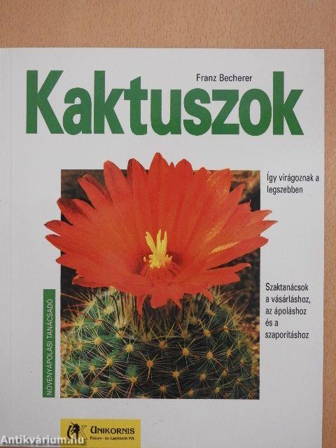 Kaktuszok