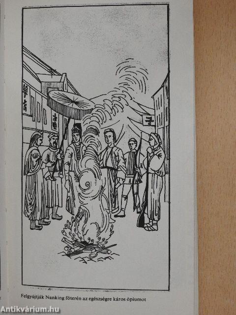 Partraszállás Sehol-szigeten