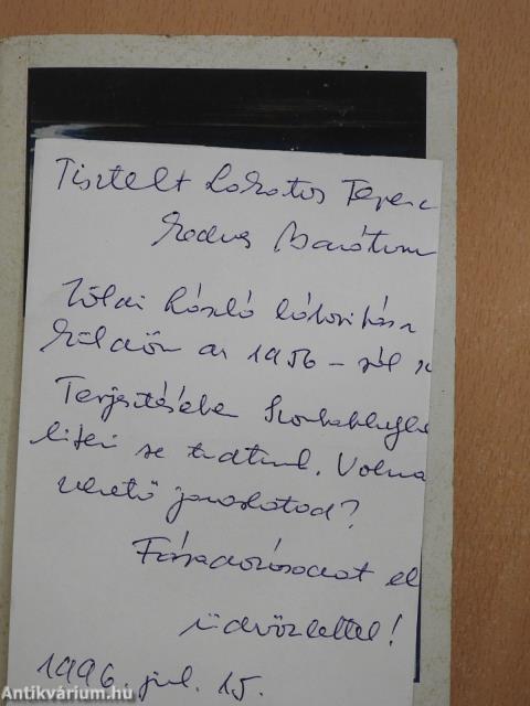 Fekete szivárvány (dedikált példány)