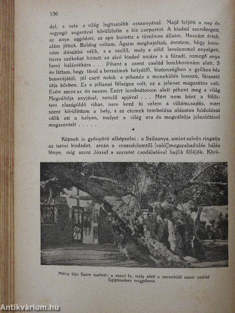 Szent Ferenc Hirnöke 1910. január-december