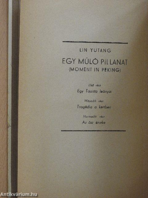 Egy múló pillanat I-II.