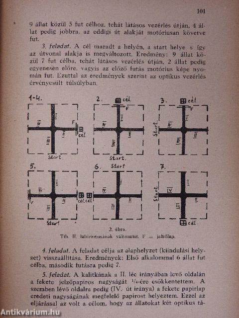 Lélektani tanulmányok VII.