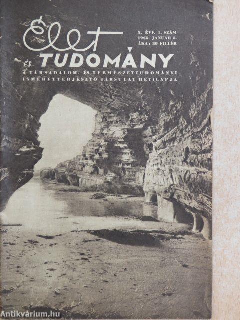 Élet és Tudomány 1955. (nem teljes évfolyam)