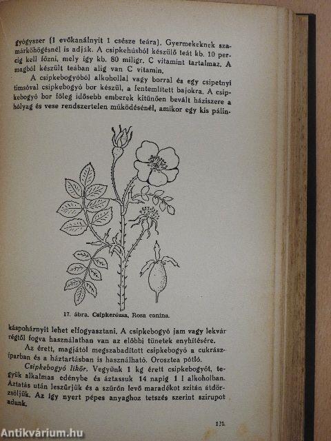 Gyógynövények gyógyhatásai