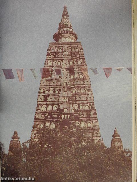 A Himalájától délre