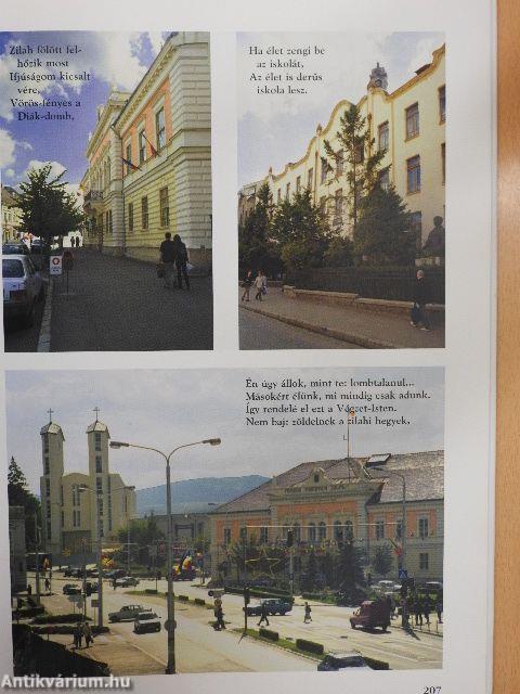 "...hajdan erős magyar"