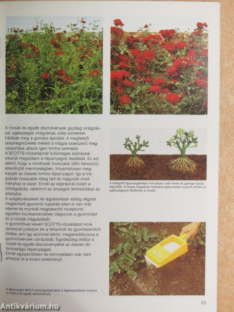 Könnyebb munka - több siker