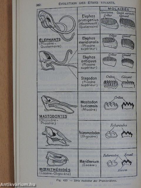 Biologie animale et végétale