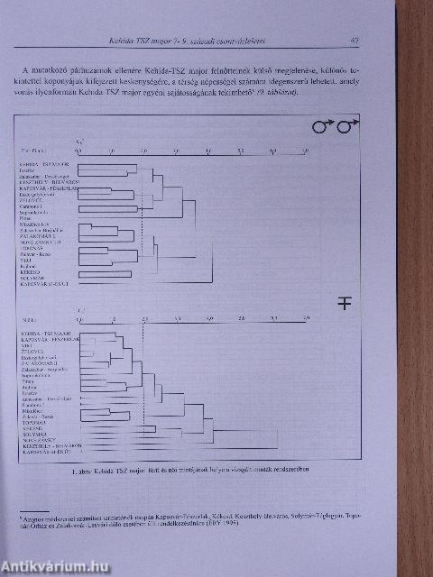 Zalai Múzeum 22.