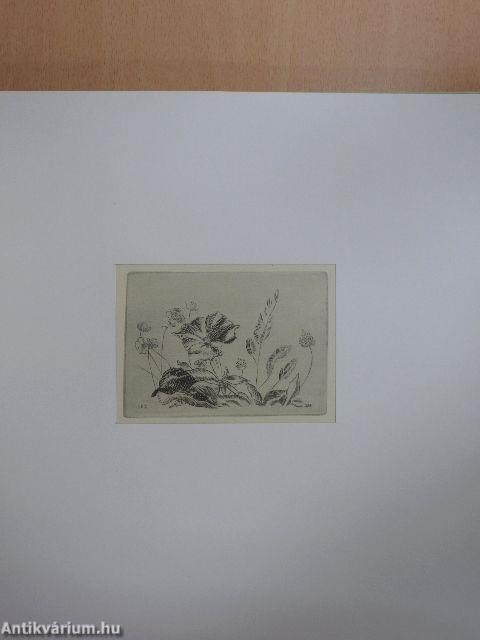 Gravures et dessins