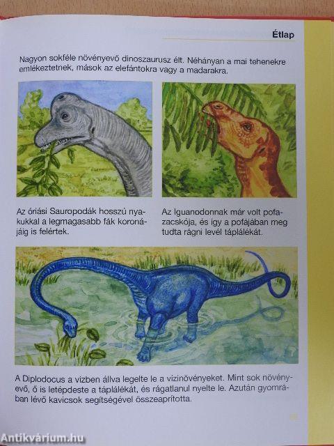 Dinoszauruszok