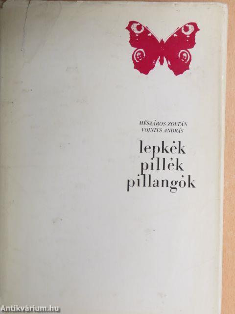 Lepkék, pillék, pillangók