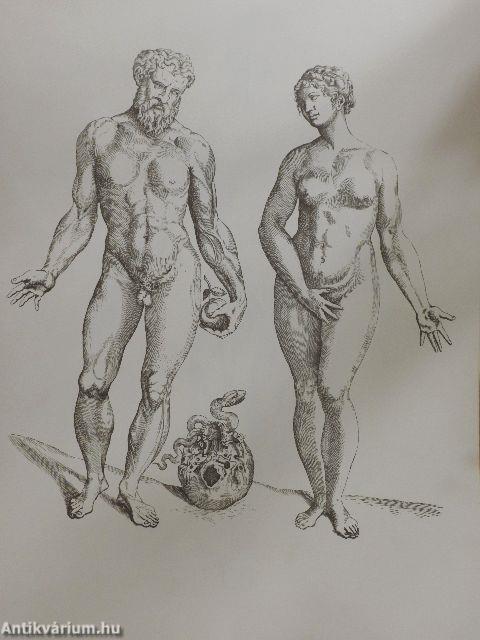 Andreae Vesalii Bruxellensis, invictissimi Caroli V. Imperatoris medici, de Humani corporis fabrica Libri septem