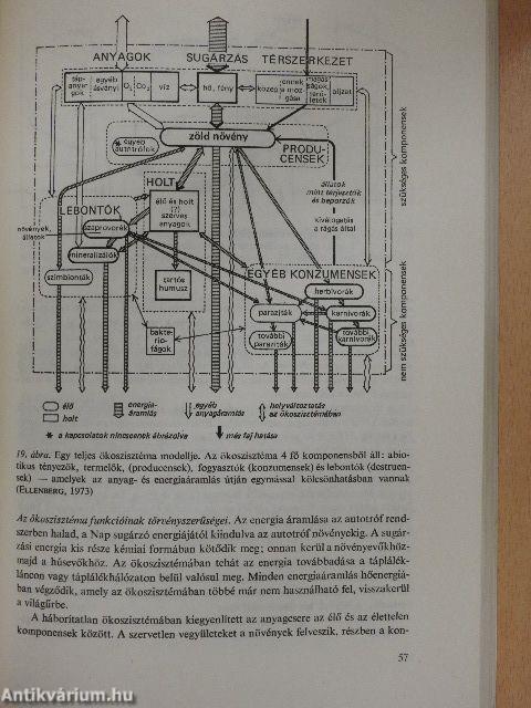 Meddig szennyezhető a Föld?