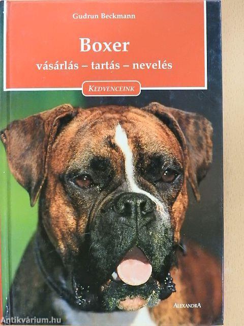 Boxer