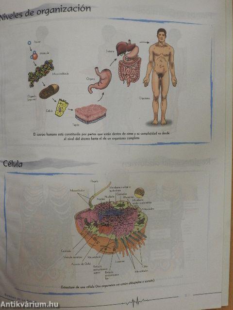 Ciencias de la Salud