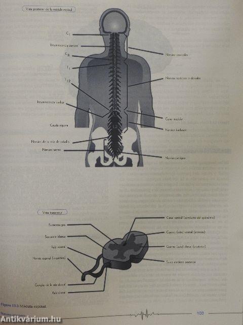 Ciencias de la Salud