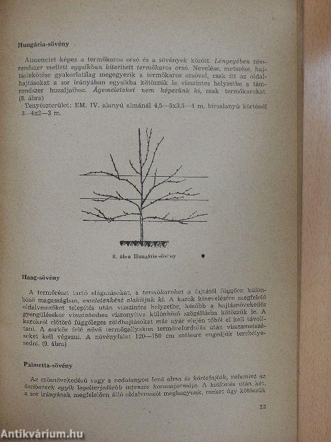 Faiskolai árjegyzék 1972. ősz-1973. tavasz