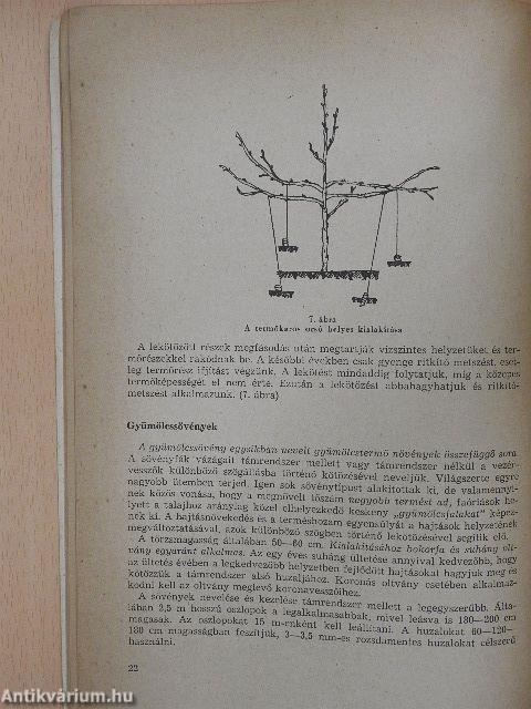 Faiskolai árjegyzék 1972. ősz-1973. tavasz