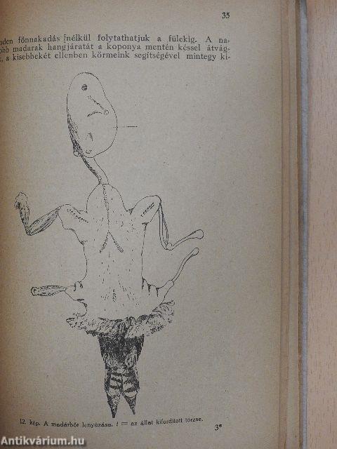 Kirándulók zsebkönyve II/1.