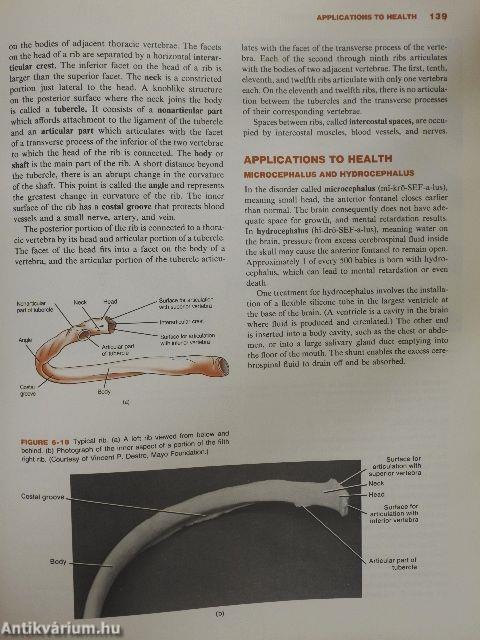 Principles of Human Anatomy