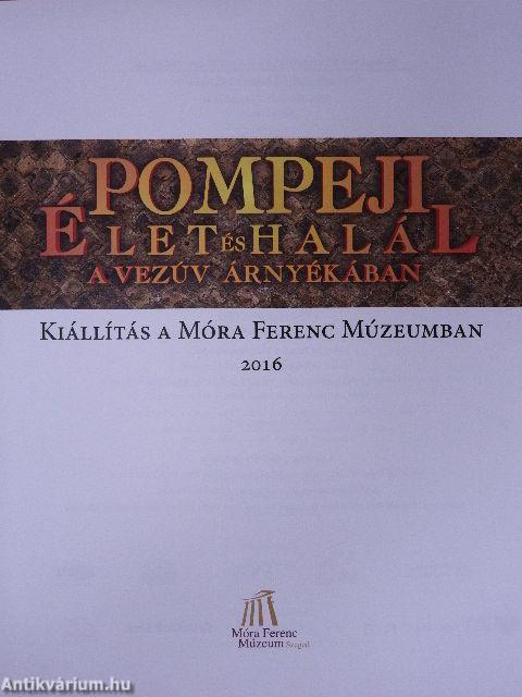 Pompeji - Élet és halál a Vezúv árnyékában