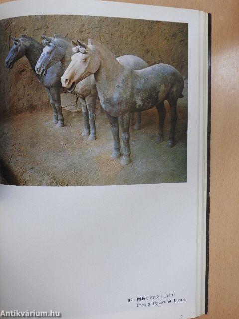 Terra-Cotta Warriors & Horses at the Tomb of Qin Shi Huang