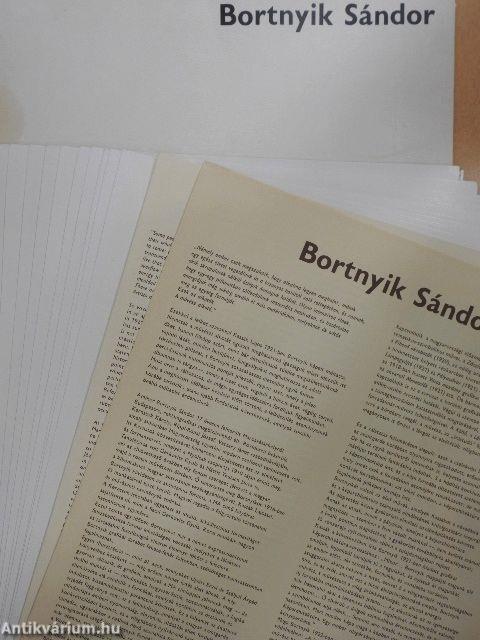 Bortnyik Sándor