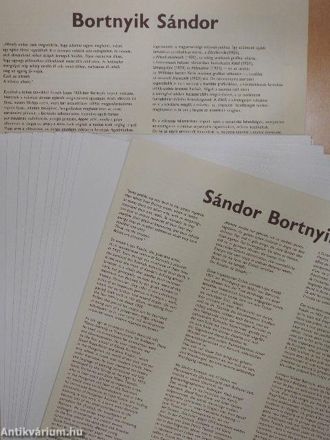 Bortnyik Sándor