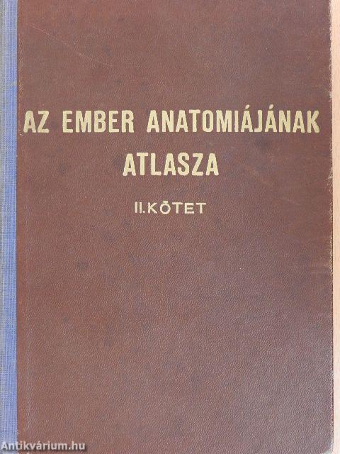 Az ember anatomiájának atlasza II. (töredék)