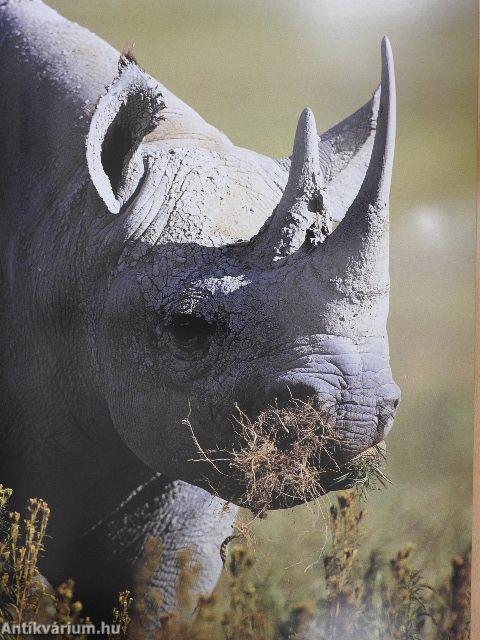 A világ legszebb nemzeti parkjai