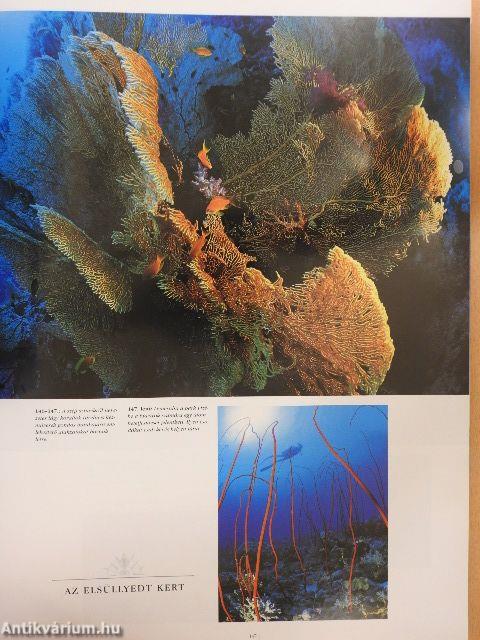 A világ legszebb nemzeti parkjai